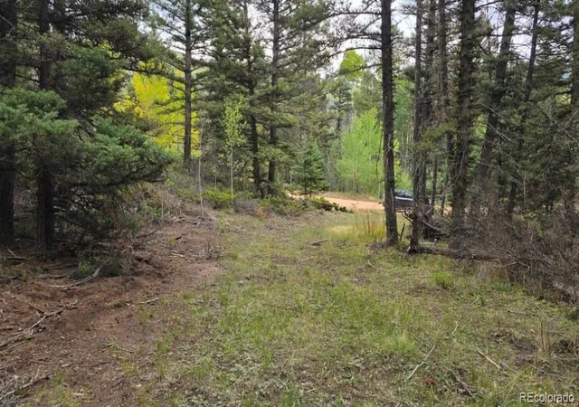 Photo 4 of Sale Pending at Lot 6363 Jaquez Rd, San Luis, CO 81152 | MLS# 3947579 | Listing updated on 2026-10-05