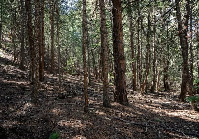 Photo 3 of Land for sale at 000 Aspen Ln, Golden, CO 80401 | MLS# 6550430 | Listing updated on 2026-10-01