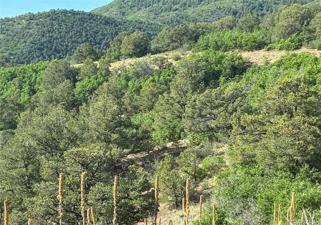 Photo 4 of Land for sale at Lot 71 Chris Crossover, Canon City, CO 81212 | MLS# 4691860 | Listing updated on 2026-10-13
