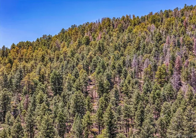 Photo 1 of Land for sale at Tallahassee Ln, Canon City, CO 81212 | MLS# 5712232 | Listing updated on 2026-09-29