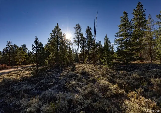 Photo 3 of Land for sale at 454 Spruce Dr, Leadville, CO 80461 | MLS# 6957895 | Listing updated on 2026-09-29