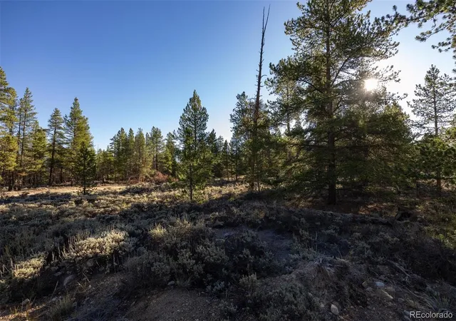 Photo 4 of Land for sale at 454 Spruce Dr, Leadville, CO 80461 | MLS# 6957895 | Listing updated on 2026-09-29