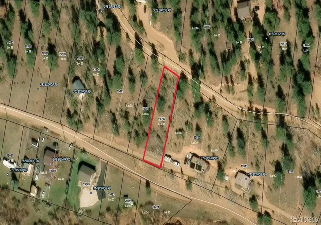 Land for sale at 357 Bishop Rd, Bailey, CO 80421 | MLS# 5692688