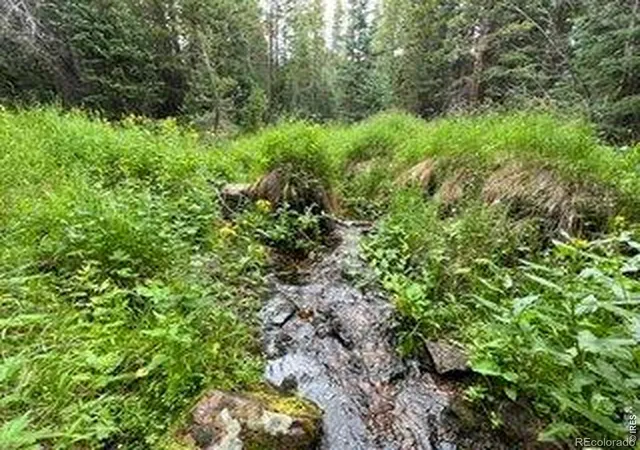 Photo 1 of Land for sale at 1070 Pearl Crk Rd, Red Feather Lakes, CO 80545 | MLS# IR1069845 | Listing updated on 2026-10-01