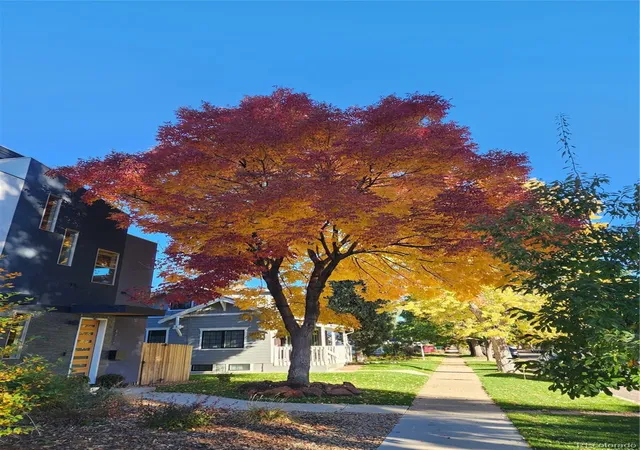 Photo 50 of Single family home for sale at 4415 Winona Ct, Denver, CO 80212 | MLS# 8626513 | Listing updated on 2026-10-08