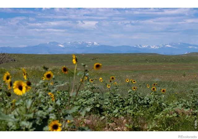 Photo 3 of Land for sale at 4 Tbd County Rd 21, Carr, CO 80612 | MLS# IR1069878 | Listing updated on 2026-10-02