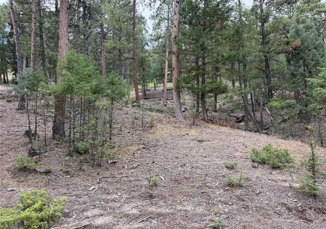 Land for sale at 0000 Tobbogan Rd, Pine, CO 80470 | MLS# 9496339