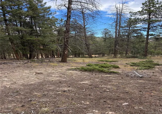 Photo 2 of Land for sale at 0000 Tobbogan Rd, Pine, CO 80470 | MLS# 9496339 | Listing updated on 2026-10-14