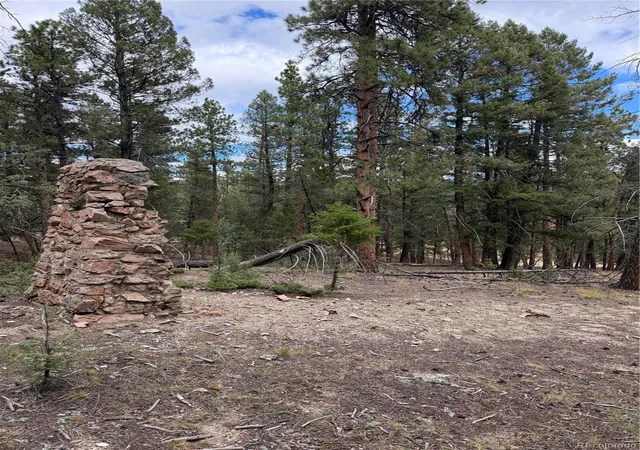 Photo 3 of Land for sale at 0000 Tobbogan Rd, Pine, CO 80470 | MLS# 9496339 | Listing updated on 2026-10-14