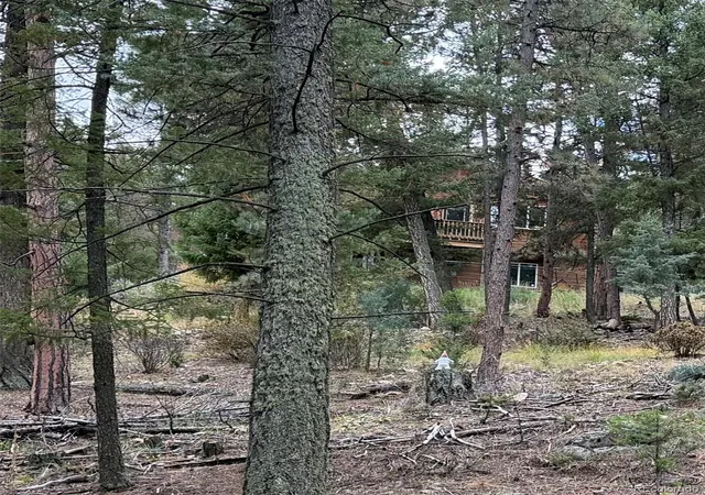 Photo 4 of Land for sale at 0000 Tobbogan Rd, Pine, CO 80470 | MLS# 9496339 | Listing updated on 2026-10-14