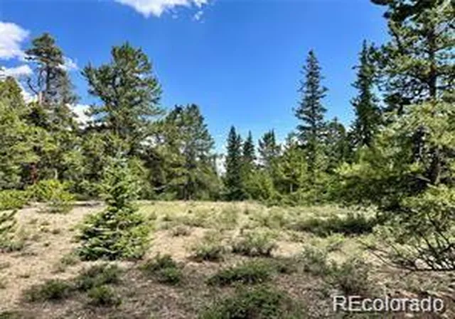Land for sale at 76 Ute Way, Fairplay, CO 80440 | MLS# 3122973