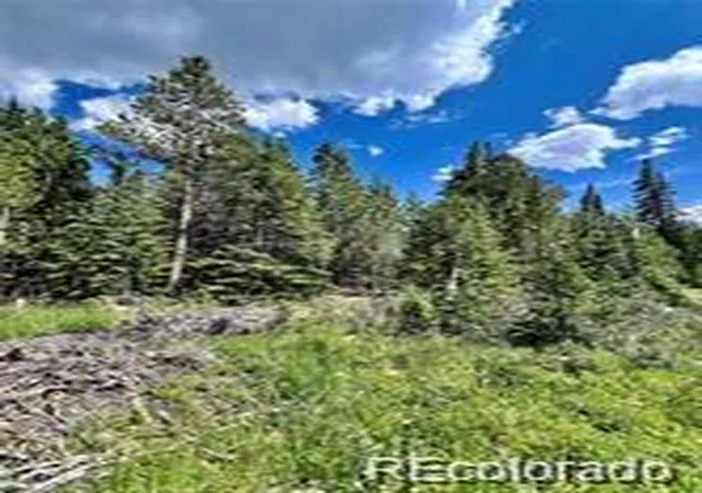 Photo 3 of Land for sale at 76 Ute Way, Fairplay, CO 80440 | MLS# 3122973 | Listing updated on 2026-10-02