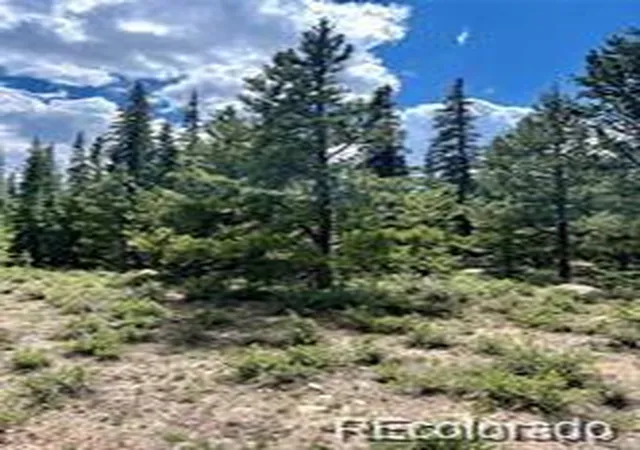 Photo 4 of Land for sale at 76 Ute Way, Fairplay, CO 80440 | MLS# 3122973 | Listing updated on 2026-10-02