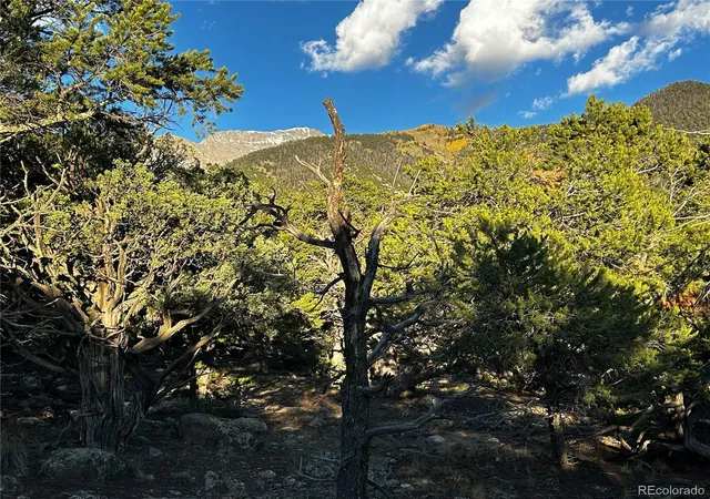 Photo 3 of Land for sale at 1786 Summitview Way, Crestone, CO 81131 | MLS# 1801301 | Listing updated on 2026-10-08