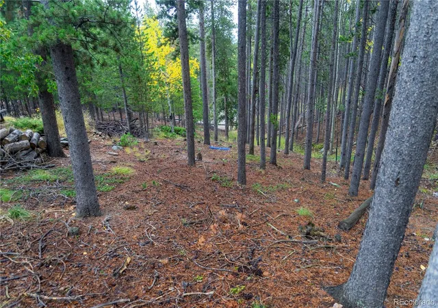 Photo 3 of Single family home for sale at 240 Deer Rd, Evergreen, CO 80439 | MLS# 4573717 | Listing updated on 2026-10-03