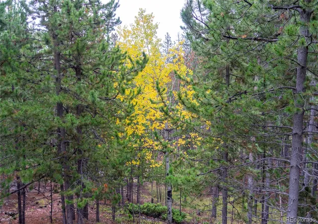 Photo 4 of Single family home for sale at 240 Deer Rd, Evergreen, CO 80439 | MLS# 4573717 | Listing updated on 2026-10-03