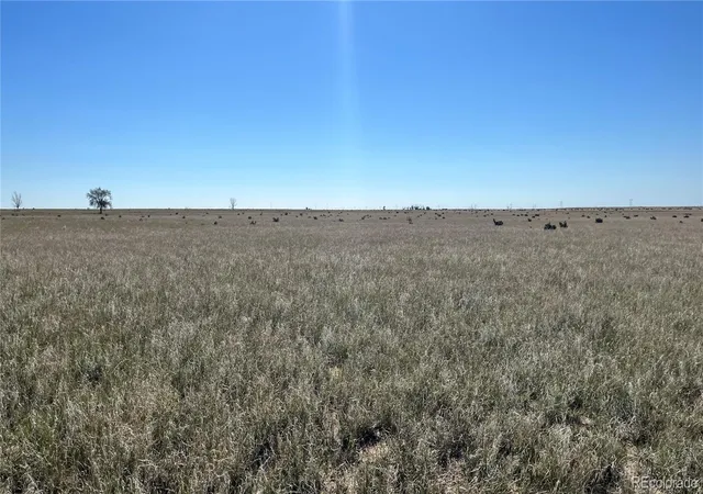 Photo 3 of Land for sale at County 1 Ln, Boone, CO 81025 | MLS# 7026876 | Listing updated on 2026-10-05