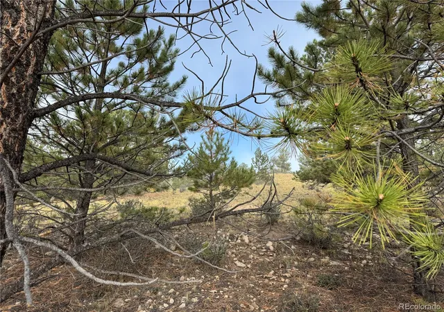Photo 1 of Land for sale at 155 Whip Way, Hartsel, CO 80449 | MLS# 2436644 | Listing updated on 2026-10-03