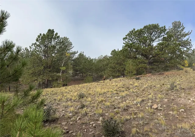 Photo 2 of Land for sale at 155 Whip Way, Hartsel, CO 80449 | MLS# 2436644 | Listing updated on 2026-10-03