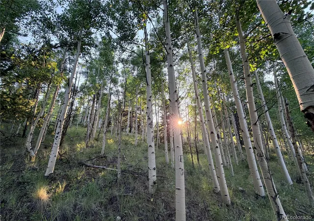 Photo 2 of Land for sale at 3 & 4 Cooper Jury Ln Tract Ave, Antonito, CO 81120 | MLS# 4378795 | Listing updated on 2026-10-07