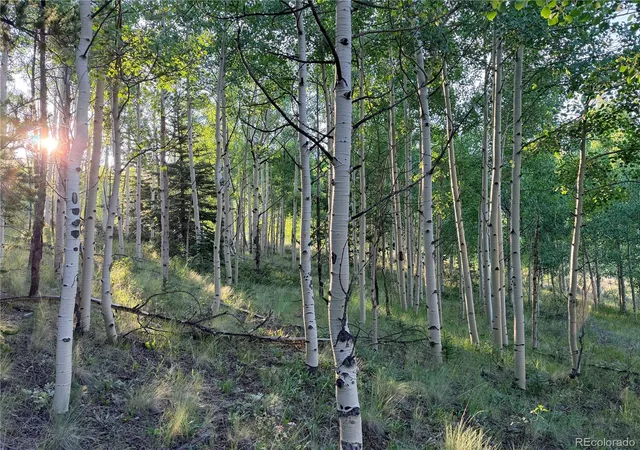 Photo 3 of Land for sale at 3 & 4 Cooper Jury Ln Tract Ave, Antonito, CO 81120 | MLS# 4378795 | Listing updated on 2026-10-07