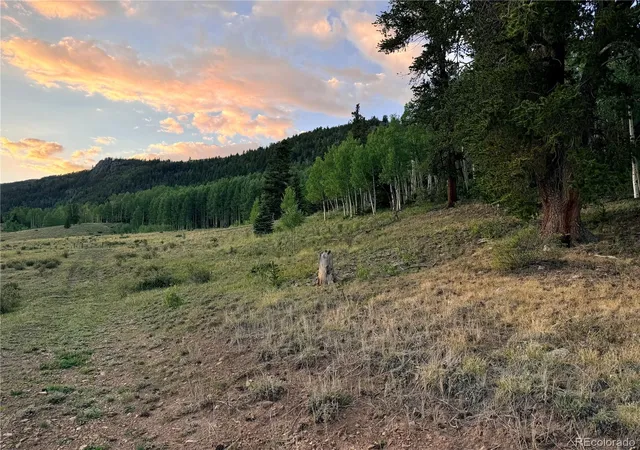Photo 4 of Land for sale at 3 & 4 Cooper Jury Ln Tract Ave, Antonito, CO 81120 | MLS# 4378795 | Listing updated on 2026-10-07