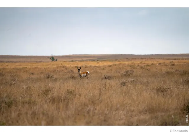Photo 4 of Land for sale at 0 Cr 90 140 Ac, Ault, CO 80610 | MLS# IR1069997 | Listing updated on 2026-10-03