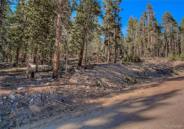 Photo 4 of Land for sale at 300 Gallagher Ln, Fairplay, CO 80440 | MLS# 8317498 | Listing updated on 2026-10-04