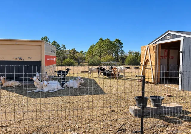 Photo 49 of Single family home for sale at 5207 County Rd P, Wiggins, CO 80654 | MLS# 6766179 | Listing updated on 2026-10-07