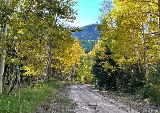 Land for sale at Lot 5174 Mo Rd, Fort Garland, CO 81133 | MLS# 6447062