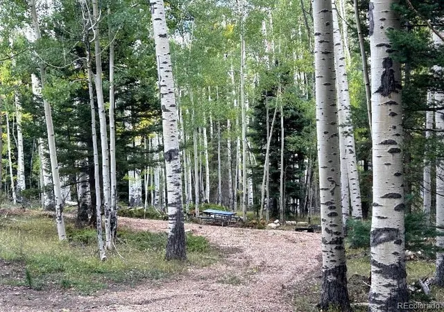 Photo 4 of Land for sale at Lot 5174 Mo Rd, Fort Garland, CO 81133 | MLS# 6447062 | Listing updated on 2026-10-06