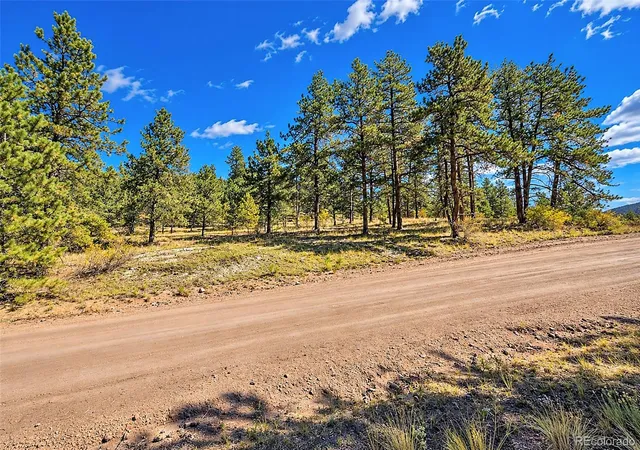 Photo 3 of Sale Pending at 308 Apache Trl, Florissant, CO 80816 | MLS# 2644481 | Listing updated on 2026-10-15