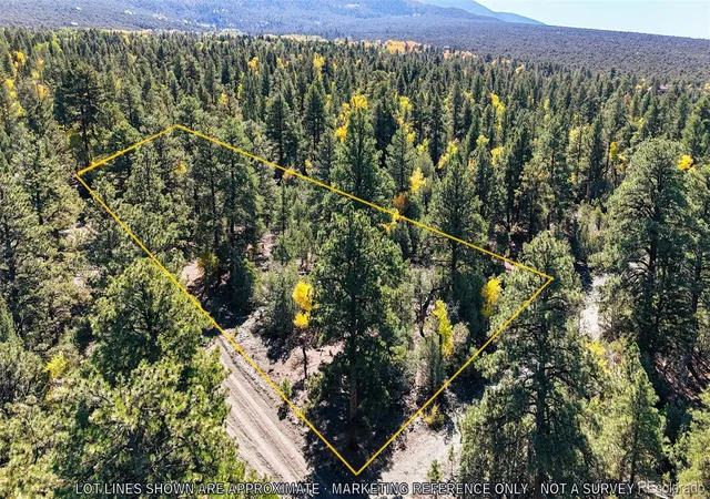 Photo 2 of Land for sale at 54 & 56 Big Bear Rd, Mosca, CO 81146 | MLS# 9523708 | Listing updated on 2026-10-05