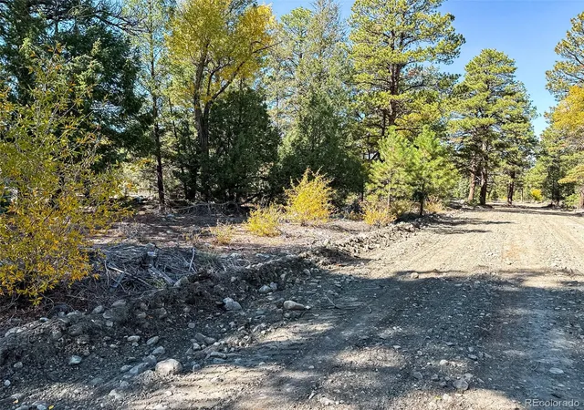 Photo 3 of Land for sale at 54 & 56 Big Bear Rd, Mosca, CO 81146 | MLS# 9523708 | Listing updated on 2026-10-05