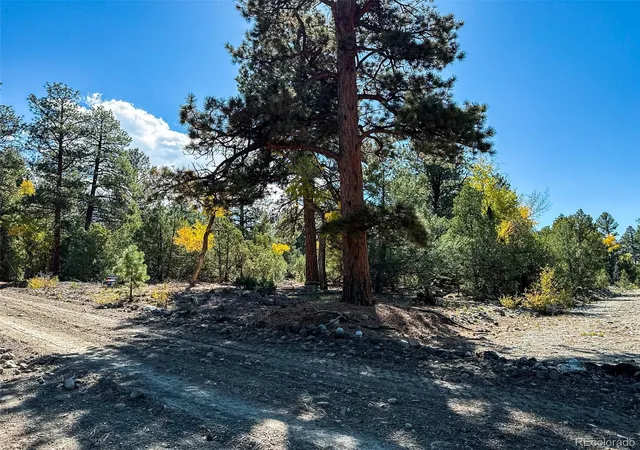Photo 3 of Land for sale at 54 & 56 Big Bear Rd, Mosca, CO 81146 | MLS# 9523708 | Listing updated on 2026-10-05
