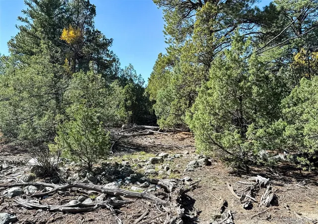 Photo 4 of Land for sale at 54 & 56 Big Bear Rd, Mosca, CO 81146 | MLS# 9523708 | Listing updated on 2026-10-05