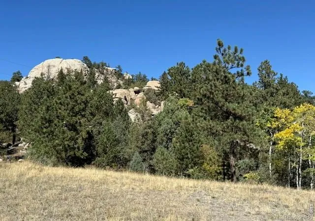 Photo 1 of Land for sale at 0 Tbd Bald Mountain Dr, Livermore, CO 80536 | MLS# IR1070052 | Listing updated on 2026-10-07