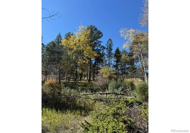 Photo 4 of Land for sale at 0 Tbd Bald Mountain Dr, Livermore, CO 80536 | MLS# IR1070052 | Listing updated on 2026-10-07
