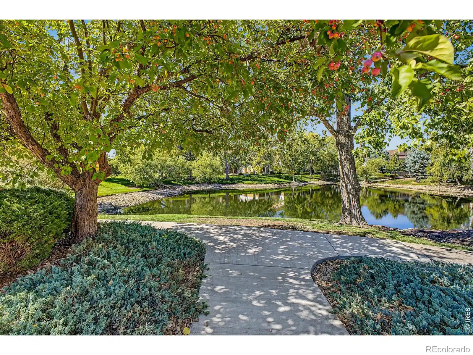 Listing Photo 45 - Condo for sale in 4955 Hahns Peak Dr located at 4955 Hahns Peak Dr, Loveland, CO 80538 - Unit #204