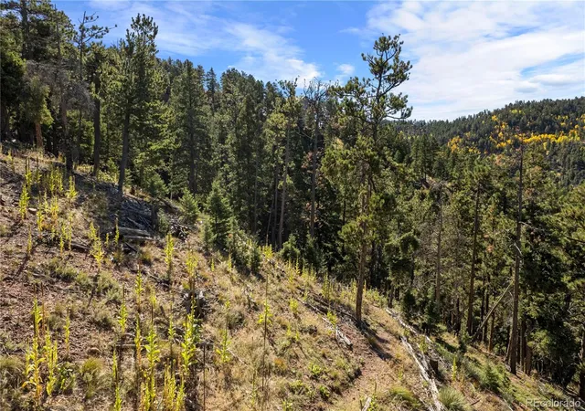 Photo 1 of Land for sale at 13126 Andiron Way, Larkspur, CO 80118 | MLS# 2802666 | Listing updated on 2026-10-06