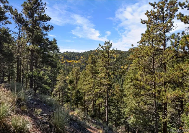 Photo 3 of Land for sale at 13126 Andiron Way, Larkspur, CO 80118 | MLS# 2802666 | Listing updated on 2026-10-06