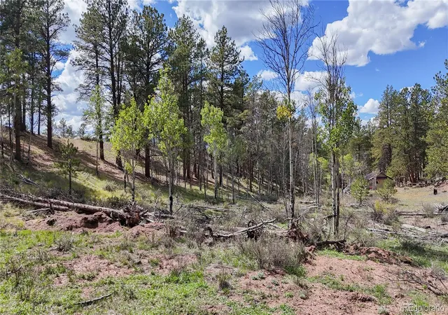 Photo 3 of Land for sale at 95 Navajo Trl, Florissant, CO 80816 | MLS# 3955666 | Listing updated on 2026-10-06