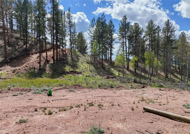 Photo 3 of Land for sale at 95 Navajo Trl, Florissant, CO 80816 | MLS# 3955666 | Listing updated on 2026-10-06