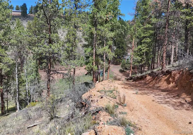Photo 4 of Land for sale at 95 Navajo Trl, Florissant, CO 80816 | MLS# 3955666 | Listing updated on 2026-10-06