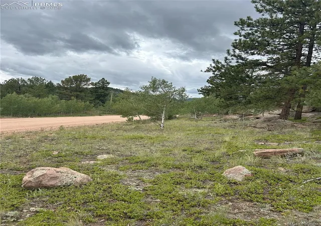 Land for sale at 155 County Rd 403, Florissant, CO 80816 | MLS# 5462009