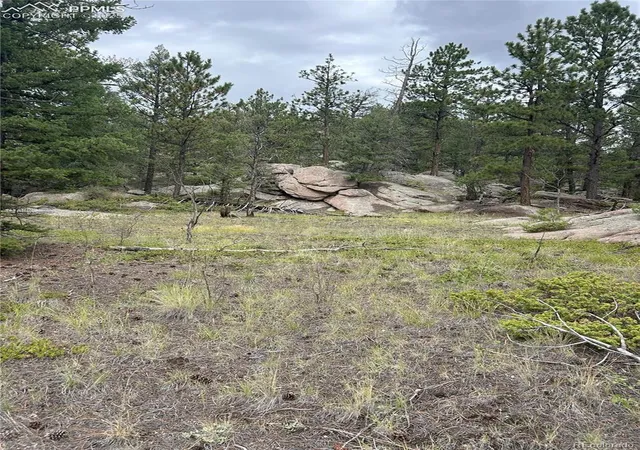 Photo 3 of Land for sale at 155 County Rd 403, Florissant, CO 80816 | MLS# 5462009 | Listing updated on 2026-10-10