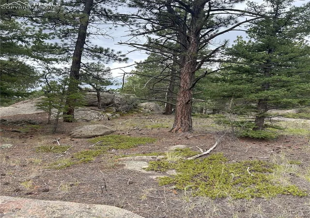 Photo 3 of Land for sale at 155 County Rd 403, Florissant, CO 80816 | MLS# 5462009 | Listing updated on 2026-10-10