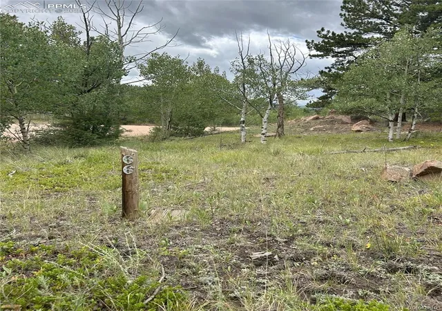 Photo 4 of Land for sale at 155 County Rd 403, Florissant, CO 80816 | MLS# 5462009 | Listing updated on 2026-10-10
