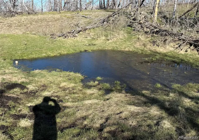 Photo 1 of Land for sale at Lot 416 Spangle Dr, Fort Garland, CO 81133 | MLS# 8163145 | Listing updated on 2026-10-07