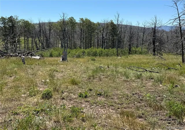 Photo 3 of Land for sale at Lot 416 Spangle Dr, Fort Garland, CO 81133 | MLS# 8163145 | Listing updated on 2026-10-07